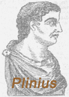 Zahlreiche Übersetzungen des römischen Autors Plinius